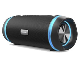 PARLANTE INALAMBRICO PSB1000